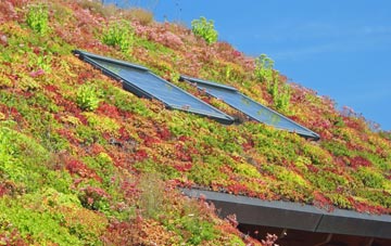 Tavernspite living roof systems