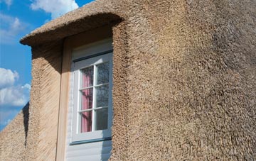 Tavernspite thatch roof disadvantages