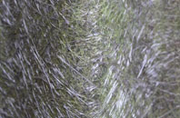 Tavernspite fibreglass roof work